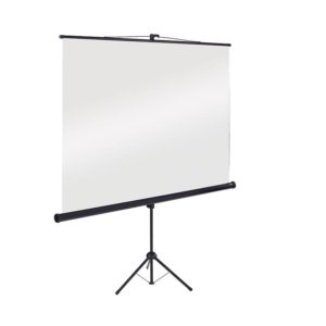 Portable Projection Screen